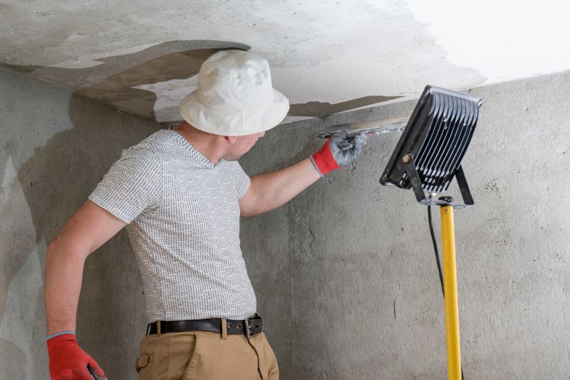 Handyman Ceiling Repair