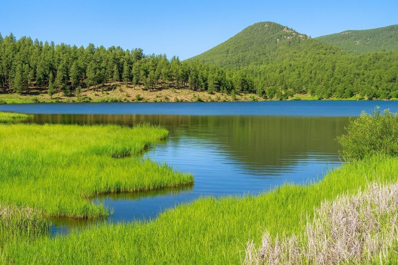 Handyman Service in Evergreen, CO